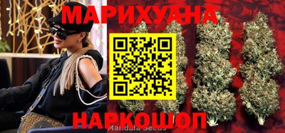 МДПВ Будённовск
