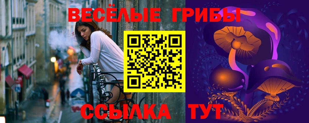 Псилоцибиновые грибы GOLDEN TEACHER  Вход с VPN  Минеральные Воды 